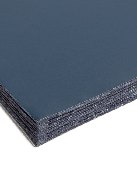 Expanding StadiumÂ® File, 12 Pockets, Navy Color, Letter Size, Set of 1, 086486702119