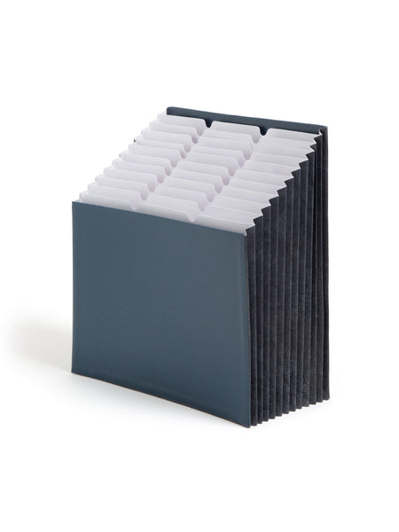 Expanding StadiumÂ® File, 12 Pockets, Navy Color, Letter Size, Set of 1, 086486702119