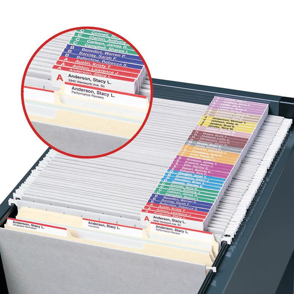 Viewables® Premium 3D Hanging Folder Tabs & Labels -100 Pack (64910)